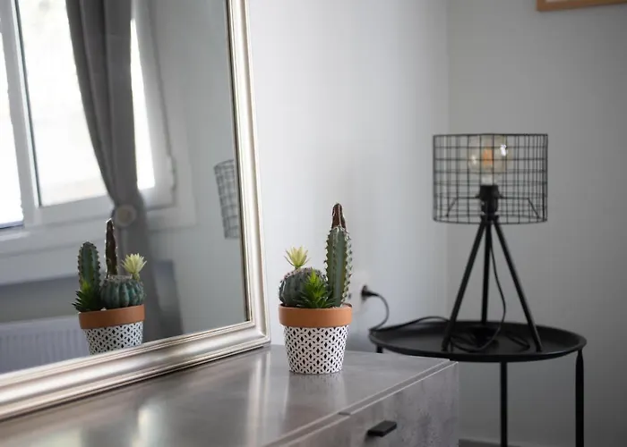 Newly Renovated Cozy Studio Downtown Athens